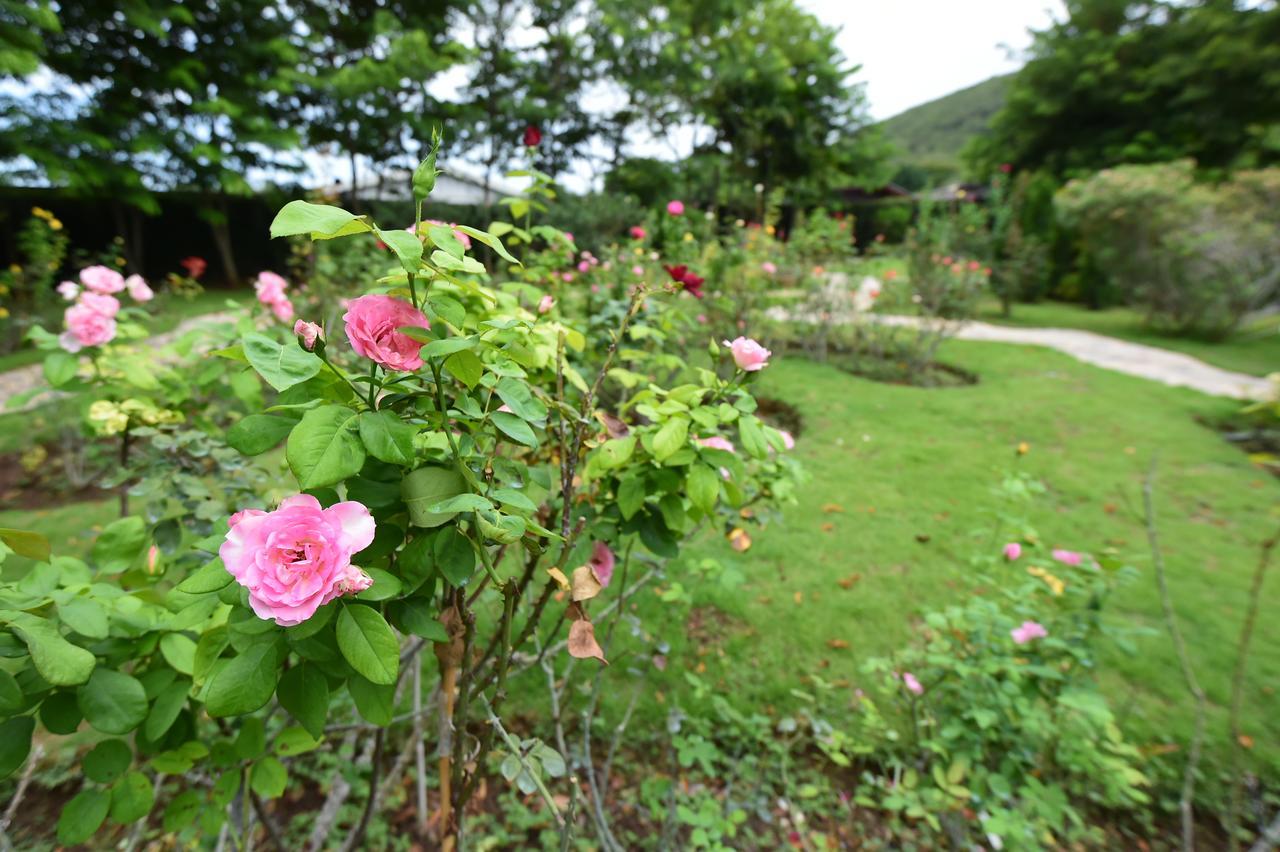 Rose Villa Hote Pak Chong Екстериор снимка